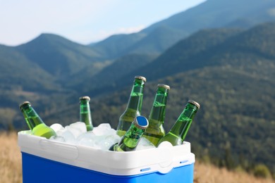 Photo of Cool box with bottles of beer in mountains. Space for text