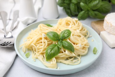 Photo of Delicious pasta with brie cheese and basil leaves on light grey table