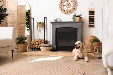 Photo of Adorable Golden Retriever dog on floor near electric fireplace indoors
