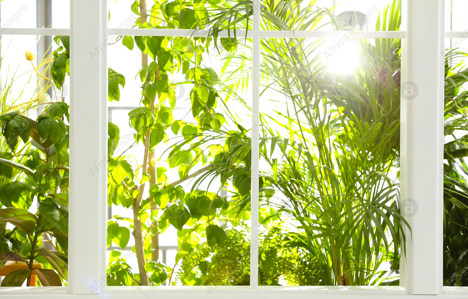 Photo of Beautiful view through window on garden in morning