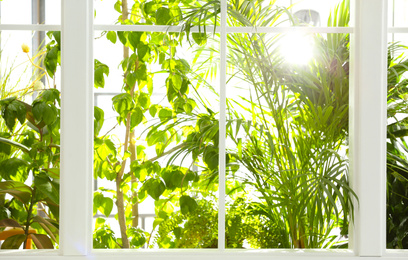 Beautiful view through window on garden in morning