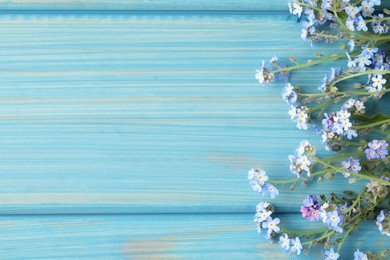 Photo of Beautiful Forget-me-not flowers on light blue wooden table, flat lay. Space for text