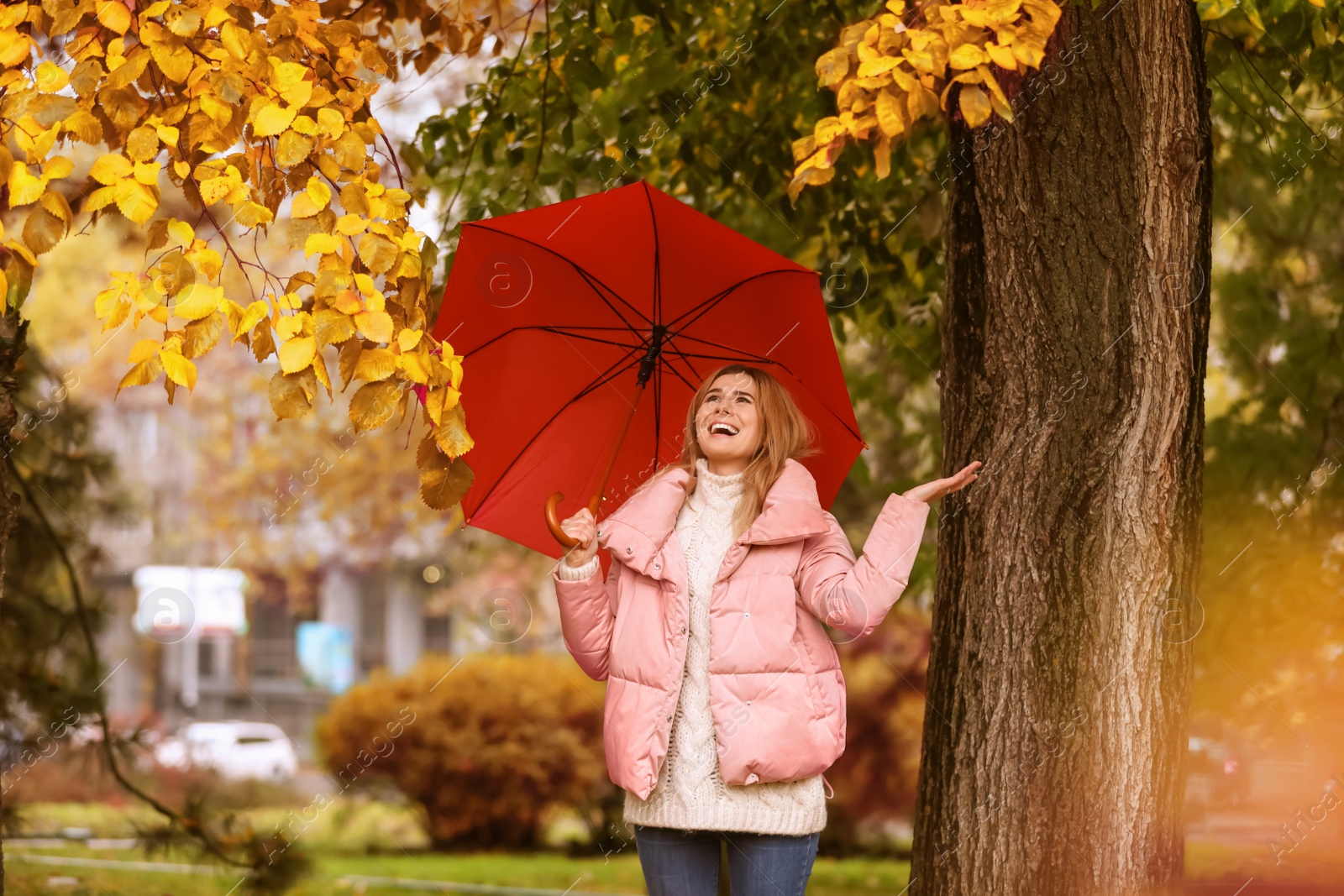 Photo of Woman with umbrella in autumn park on rainy day