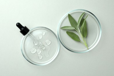 Photo of Flat lay composition with Petri dishes and sage on light grey background