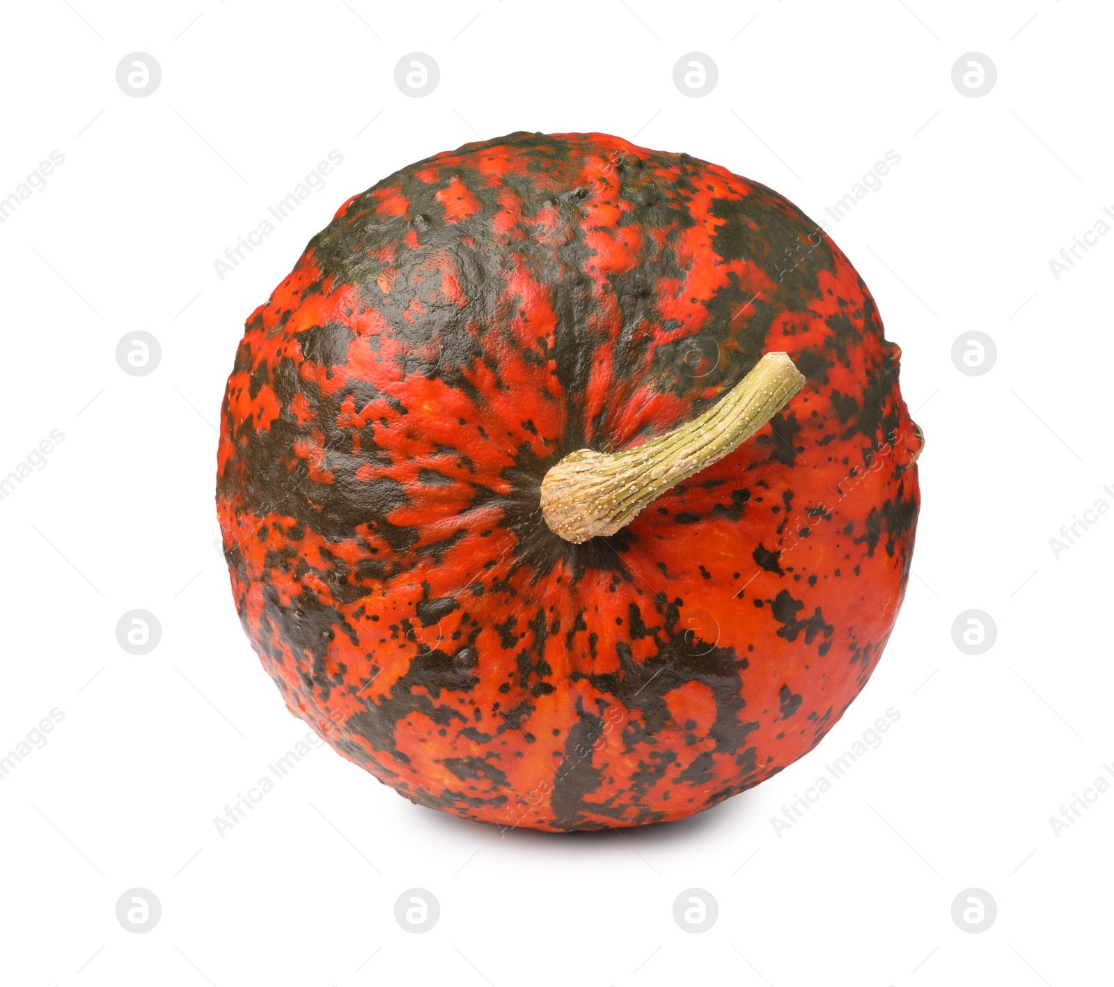 Photo of One fresh ripe pumpkin isolated on white