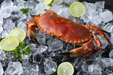 Photo of Delicious boiled crab, lime, parsley and ice on table, closeup