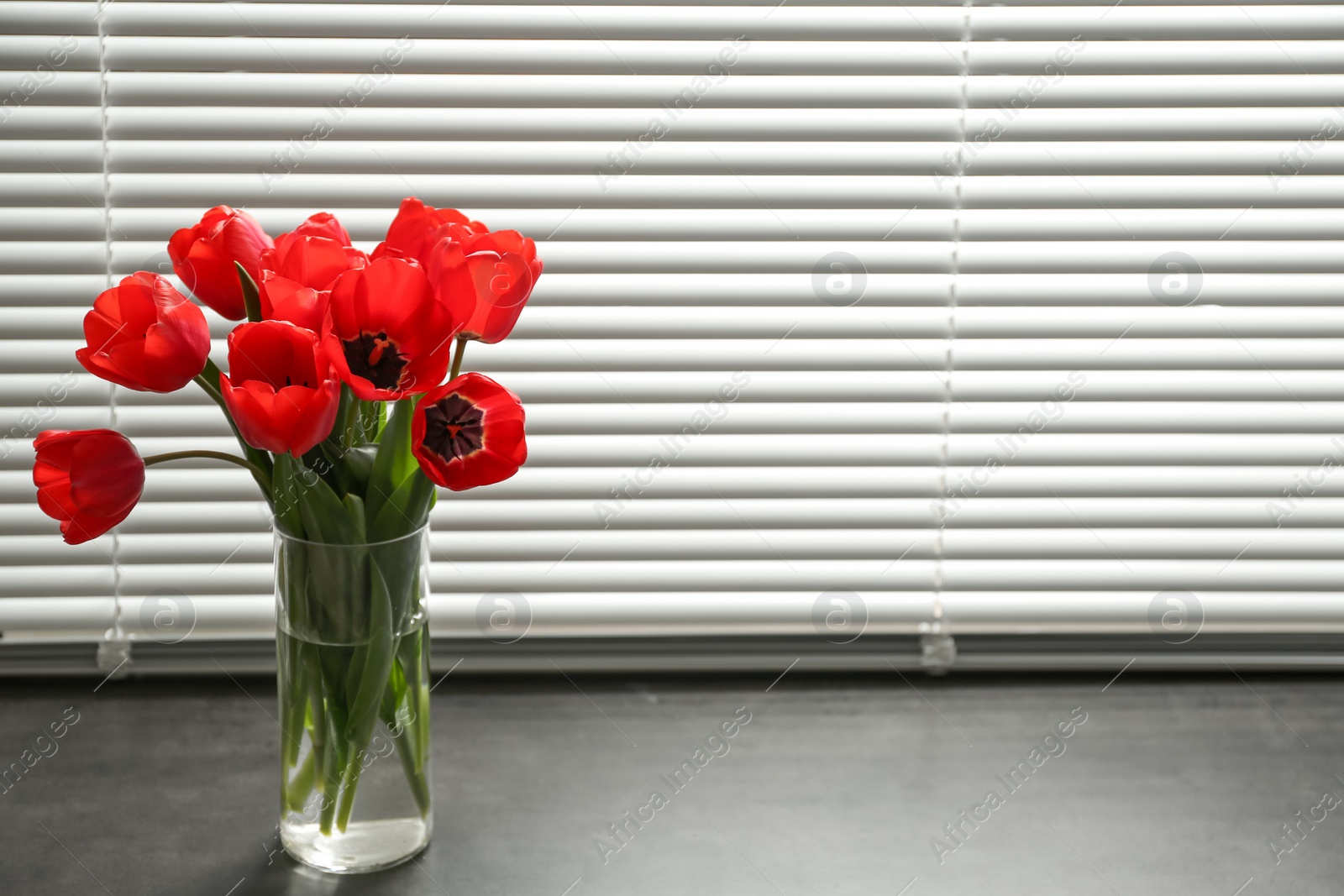 Photo of Bouquet of beautiful tulips in vase near window with blinds. Space for text