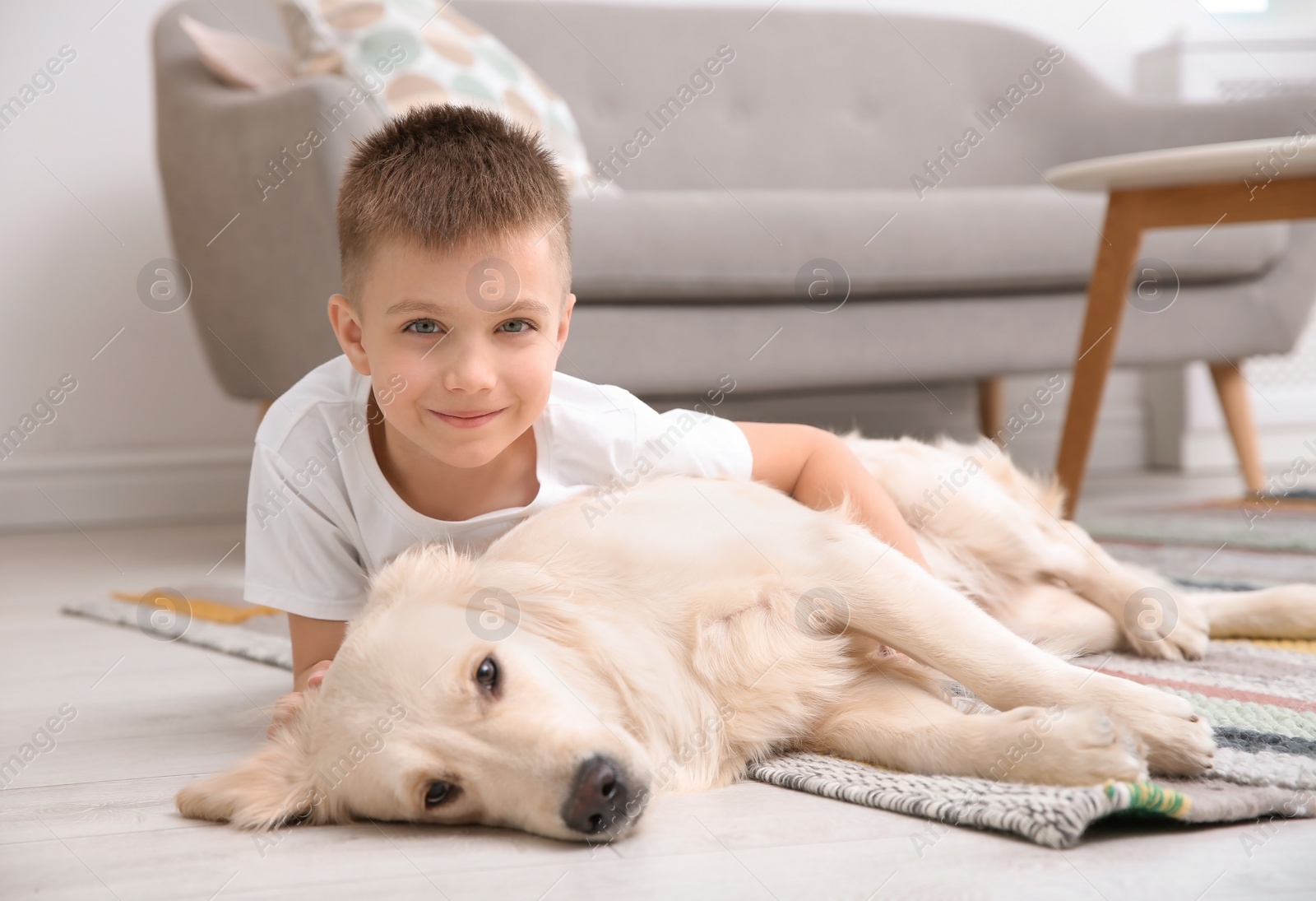 Photo of Cute little child with his pet on floor at home