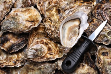 Photo of Knife on pile of fresh oysters, top view
