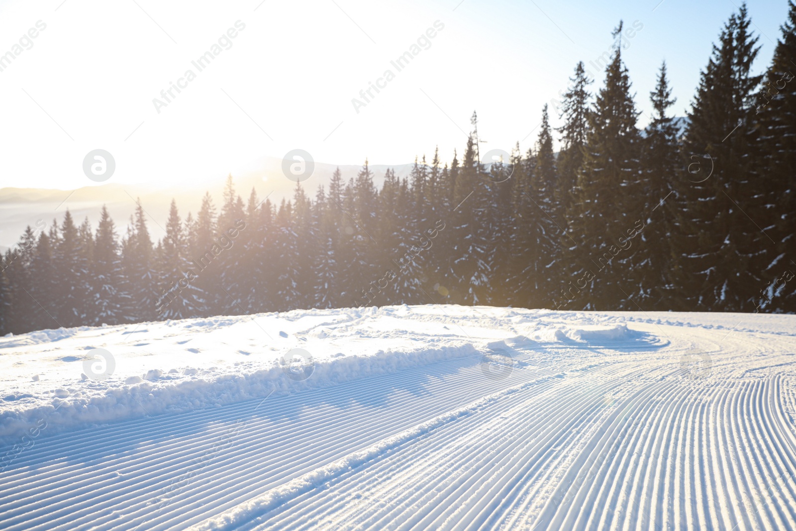 Photo of Empty road covered with snow on winter day