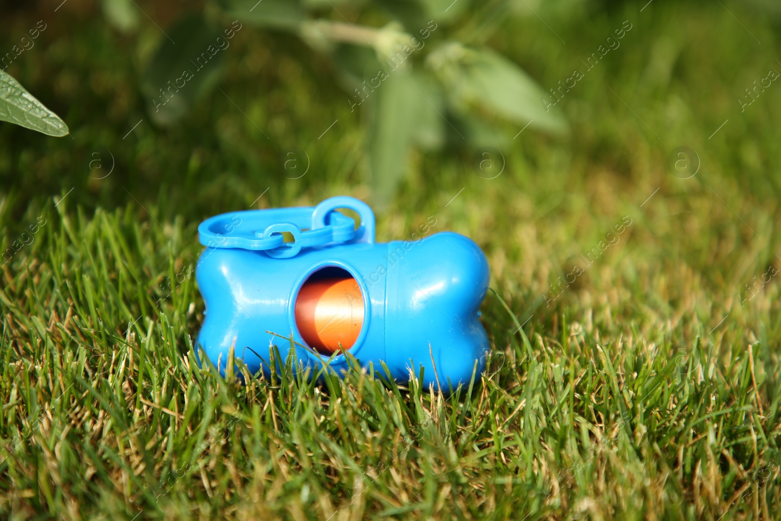 Photo of Holder with dog waste bags in green grass on sunny day, space for text