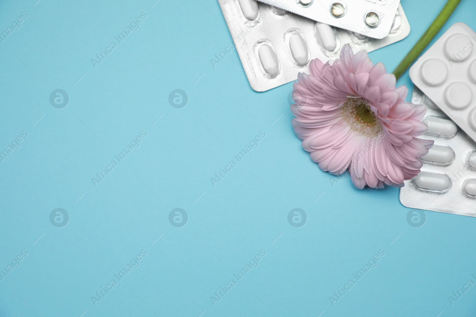 Photo of Many gynecological pills and gerbera flower on light blue background, flat lay. Space for text