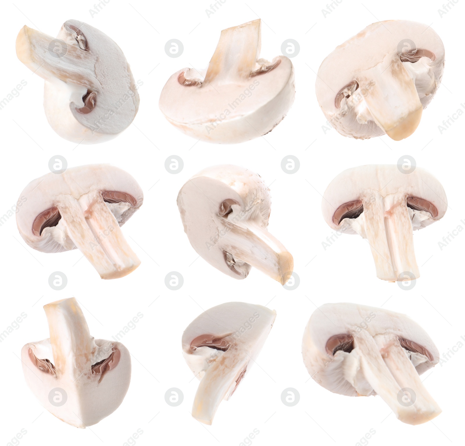 Image of Fresh cut mushrooms flying on white background