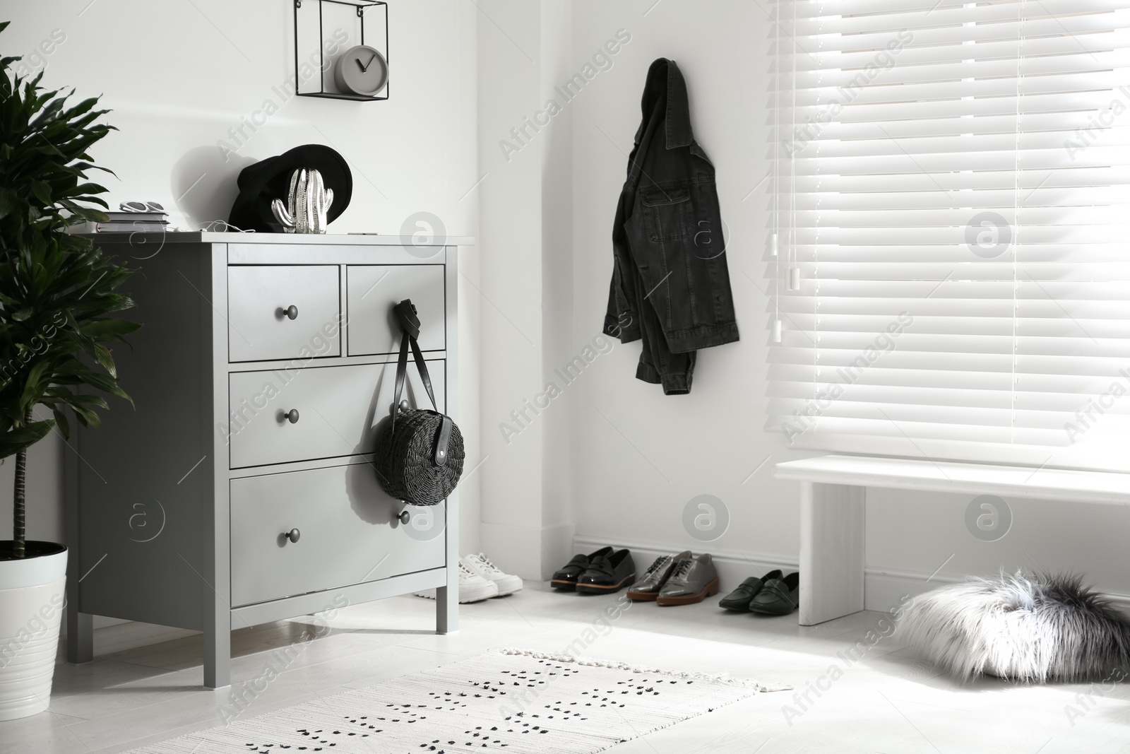 Photo of Grey chest of drawers in stylish room. Interior design