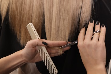 Professional hairdresser cutting woman's hair, closeup view