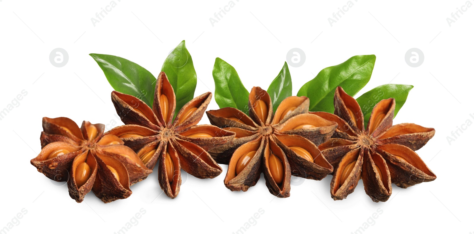 Image of Aromatic dry anise stars and green leaves on white background. Banner design