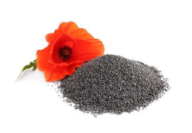 Pile of poppy seeds and flower isolated on white
