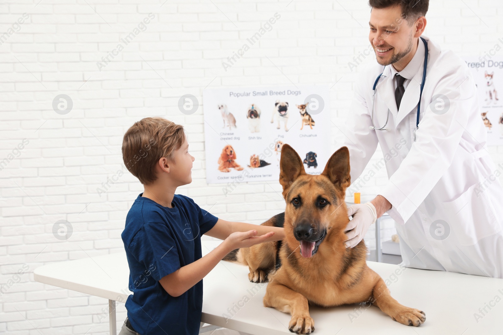 Photo of Boy with his dog visiting veterinarian in clinic