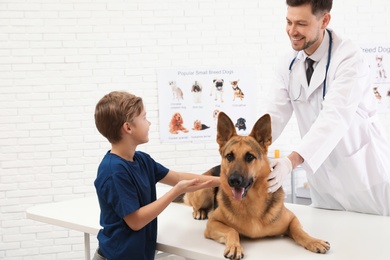 Boy with his dog visiting veterinarian in clinic