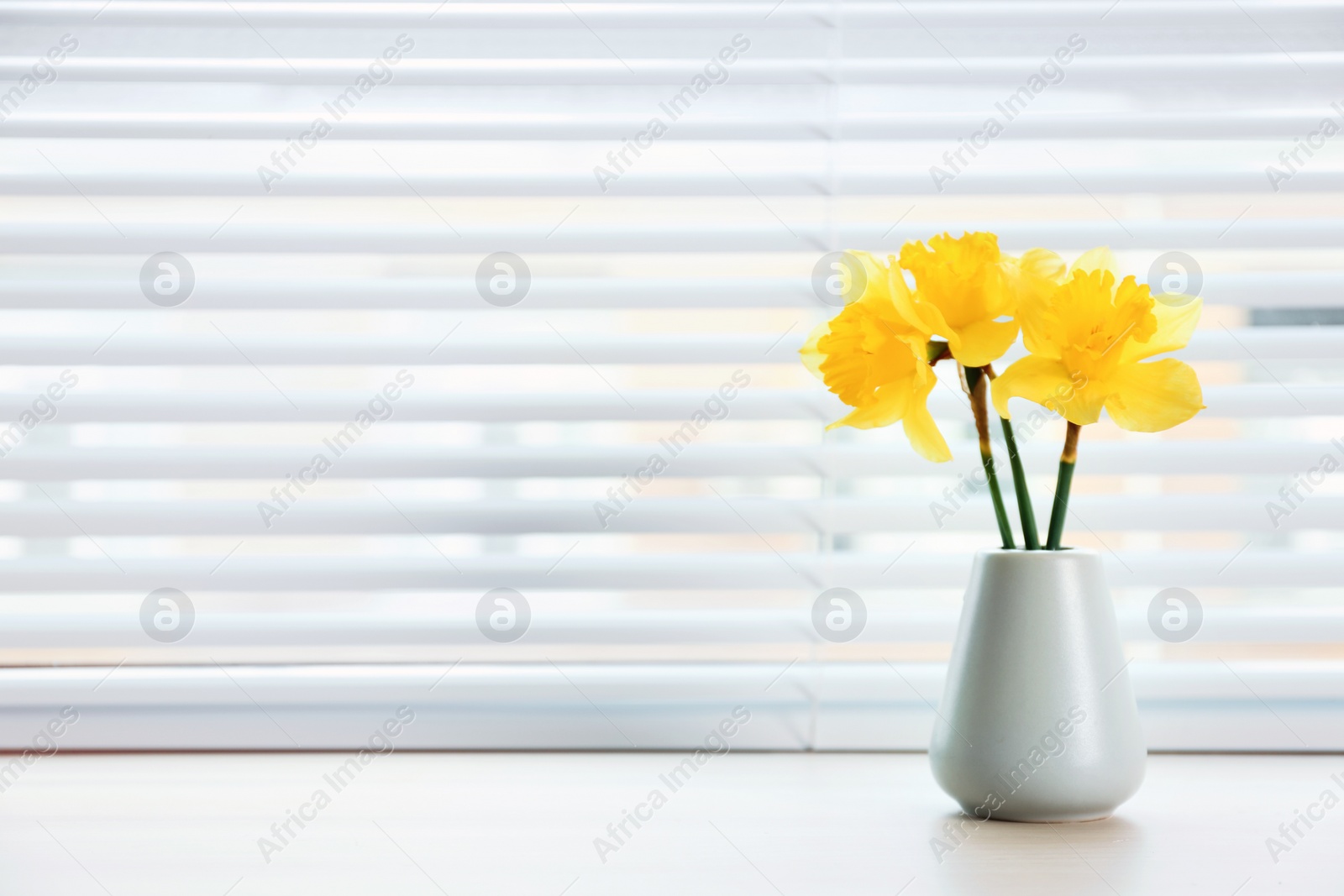 Photo of Window with blinds and beautiful bouquet on sill, space for text