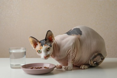 Photo of Beautiful Sphynx cat near plate with kibble on white table against beige background
