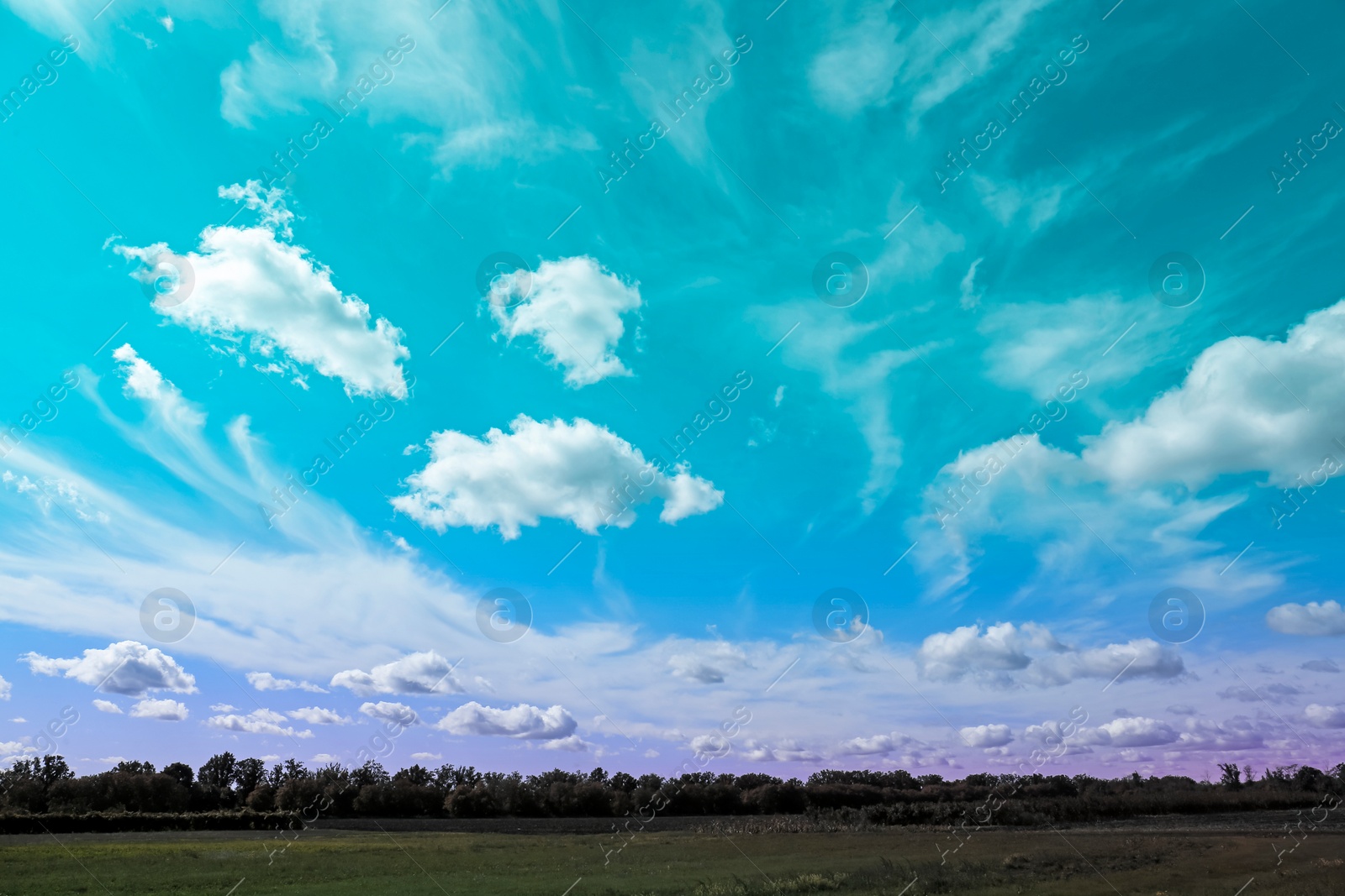 Image of Amazing light blue and purple sky with clouds over green meadow and trees