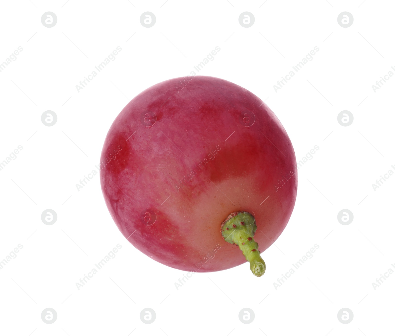 Photo of One ripe red grape isolated on white