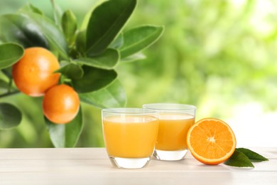 Image of Fresh orange juice on wooden table in orchard. Space for text