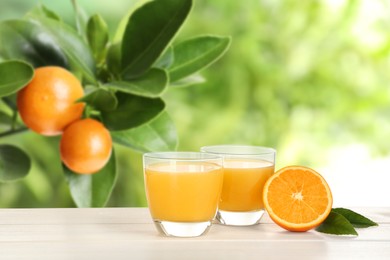 Fresh orange juice on wooden table in orchard. Space for text