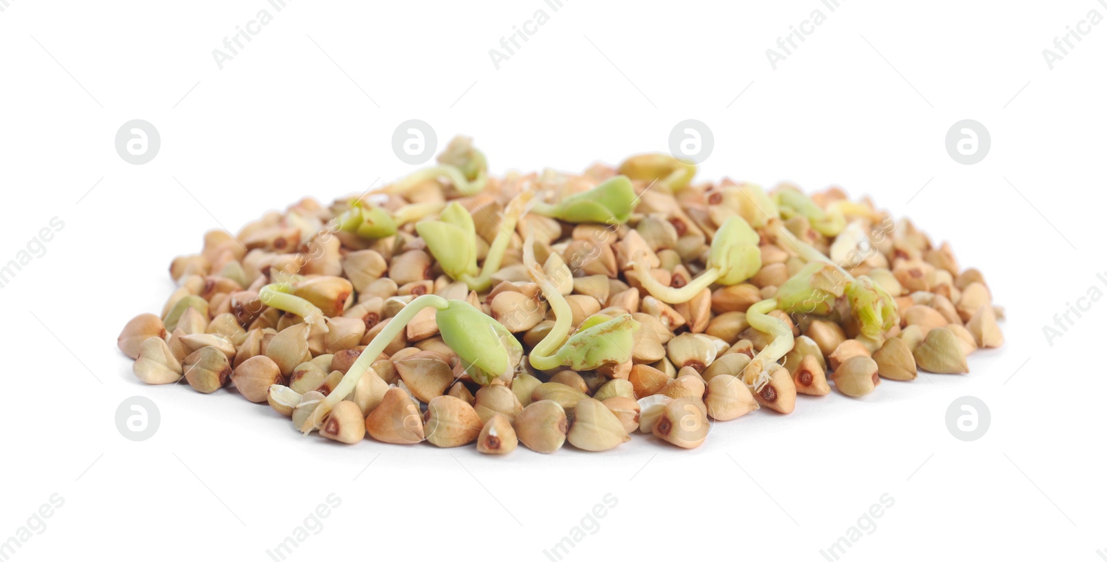 Photo of Pile of sprouted green buckwheat isolated on white