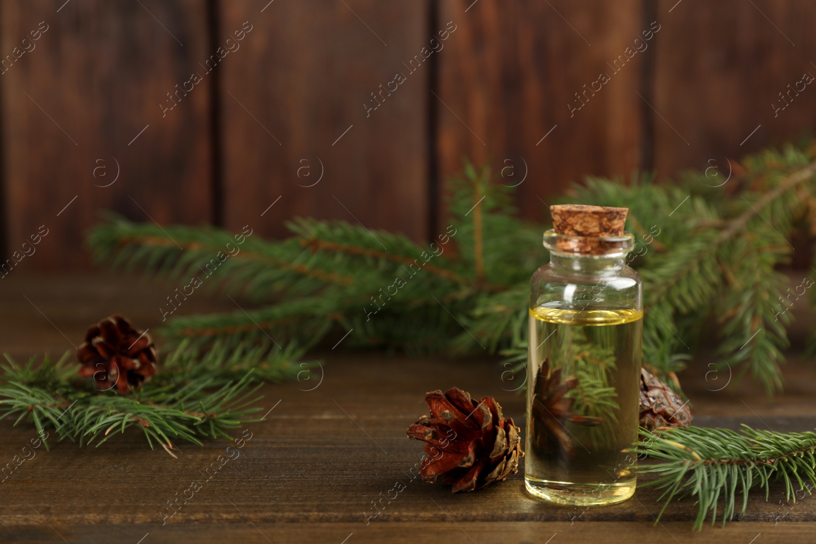 Photo of Pine essential oil, cones and branches on wooden table. Space for text