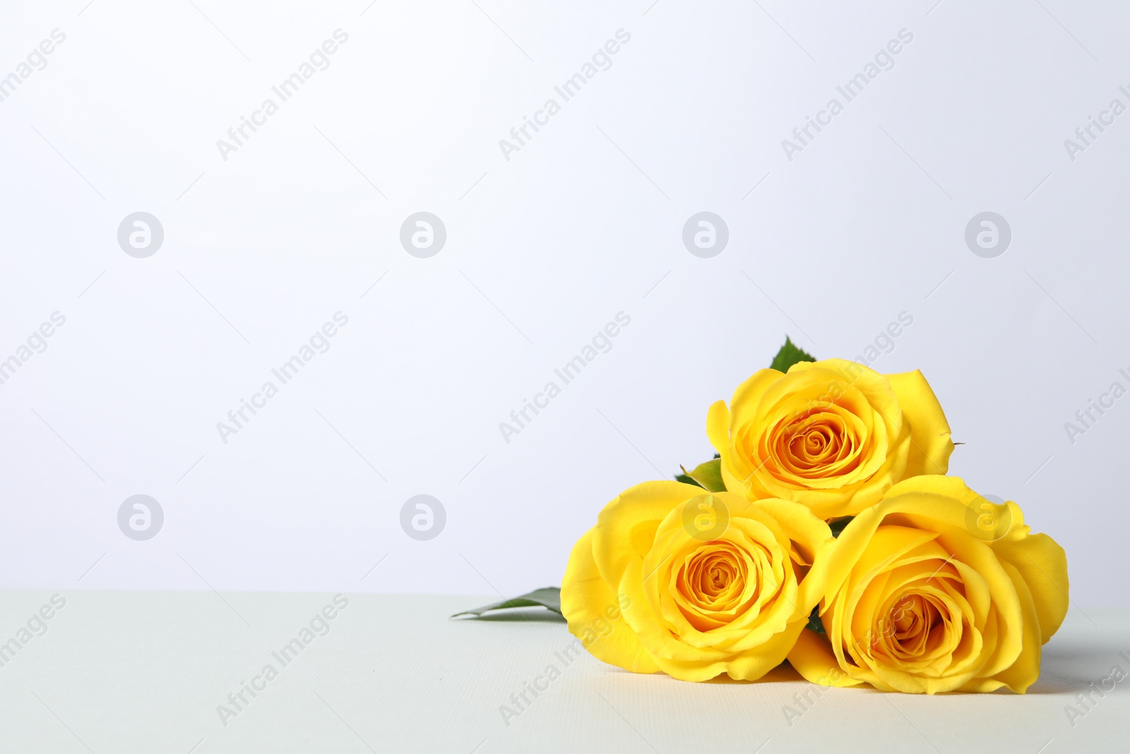 Photo of Beautiful fresh yellow roses on white table. Space for text