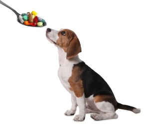 Vitamins for pets. Cute dog and spoon with different pills on white background
