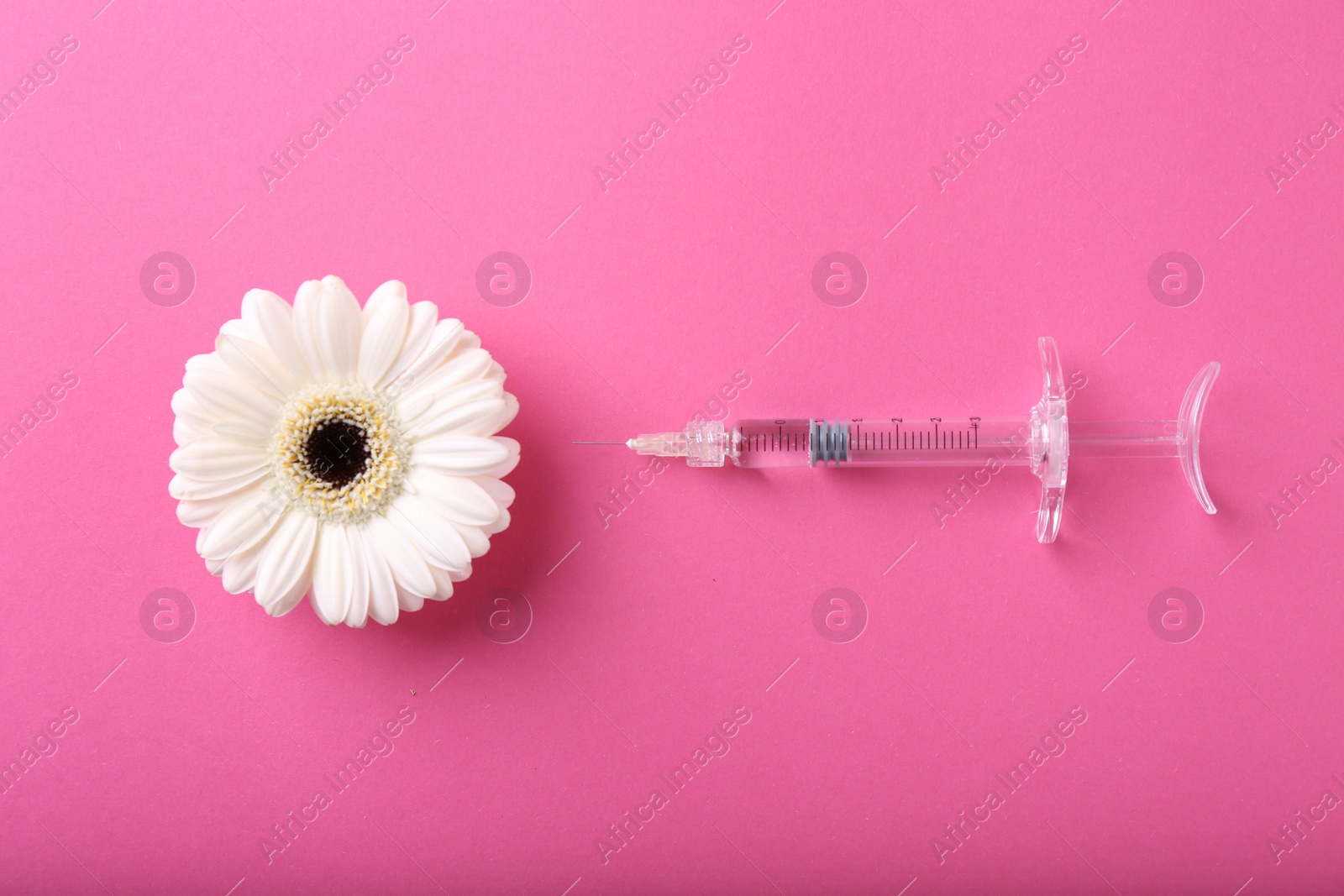 Photo of Cosmetology. Medical syringe and gerbera flower on pink background, flat lay