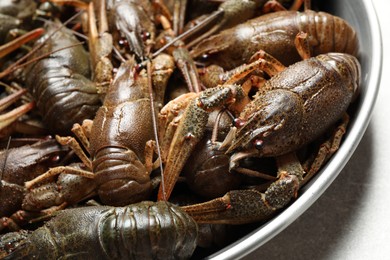 Fresh raw crayfishes on table, closeup view