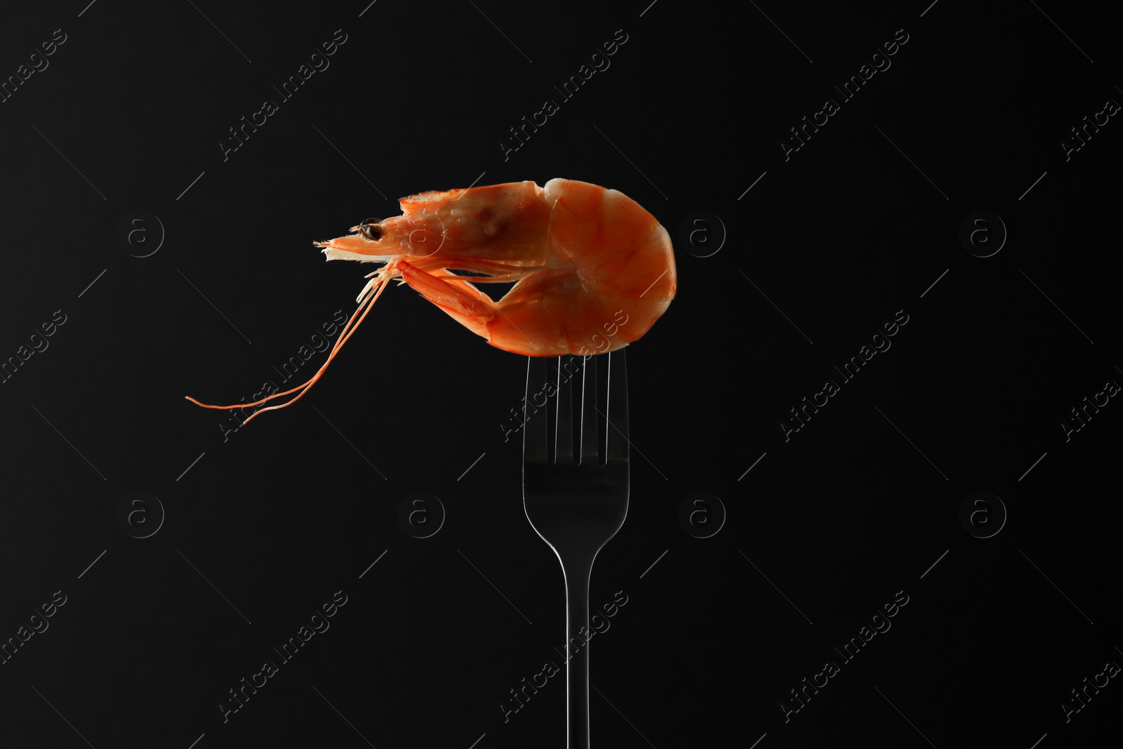 Photo of Fork with one shrimp on black background