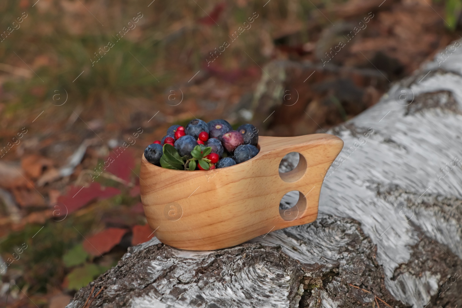Photo of Wooden mug full of fresh ripe blueberries and lingonberries on log in forest