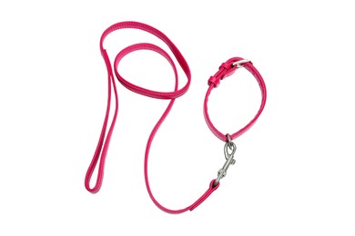 Red leather dog leash isolated on white, top view