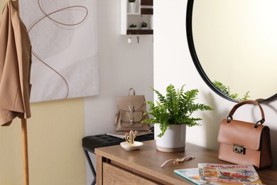 Beautiful potted fern and accessories on wooden cabinet in hallway. Space for text