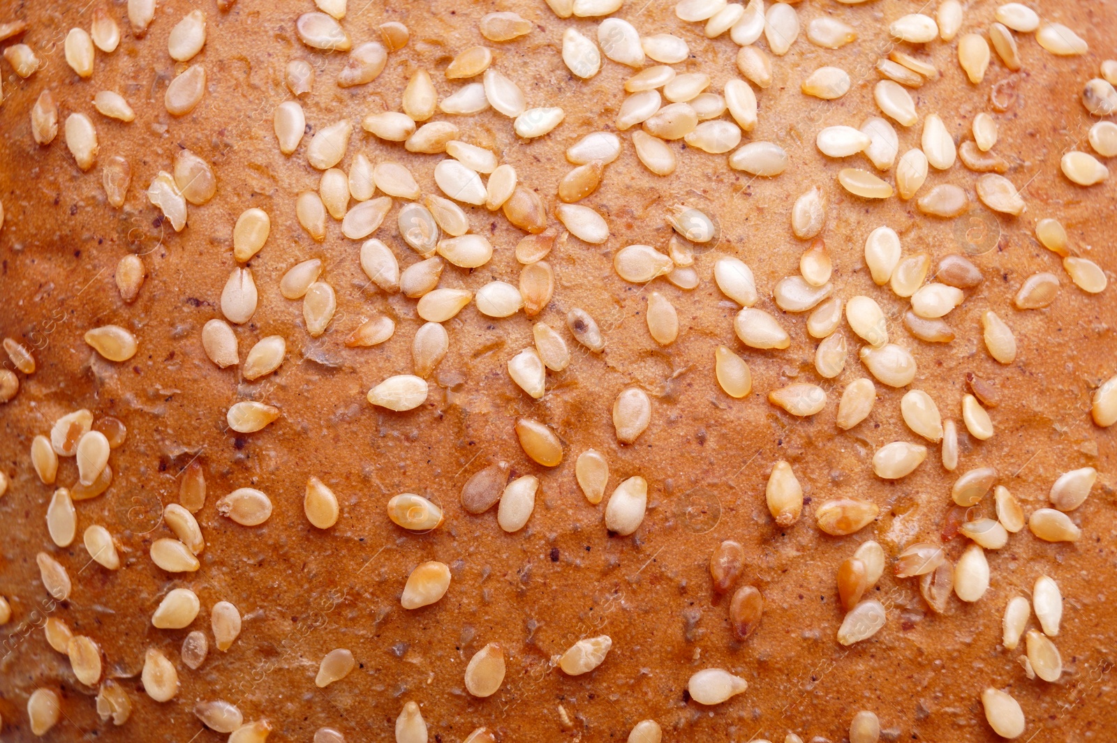 Photo of Fresh bun with sesame seeds as background, top view