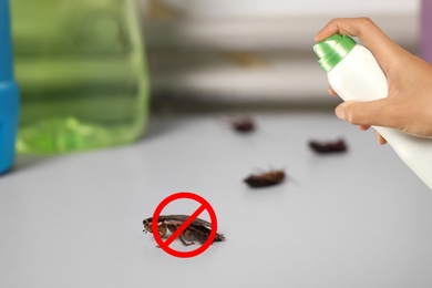 Image of Pest control. Using household insecticide to kill cockroaches at home, closeup