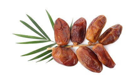 Photo of Sweet dates on branch and green leaves against white background, top view. Dried fruit as healthy snack