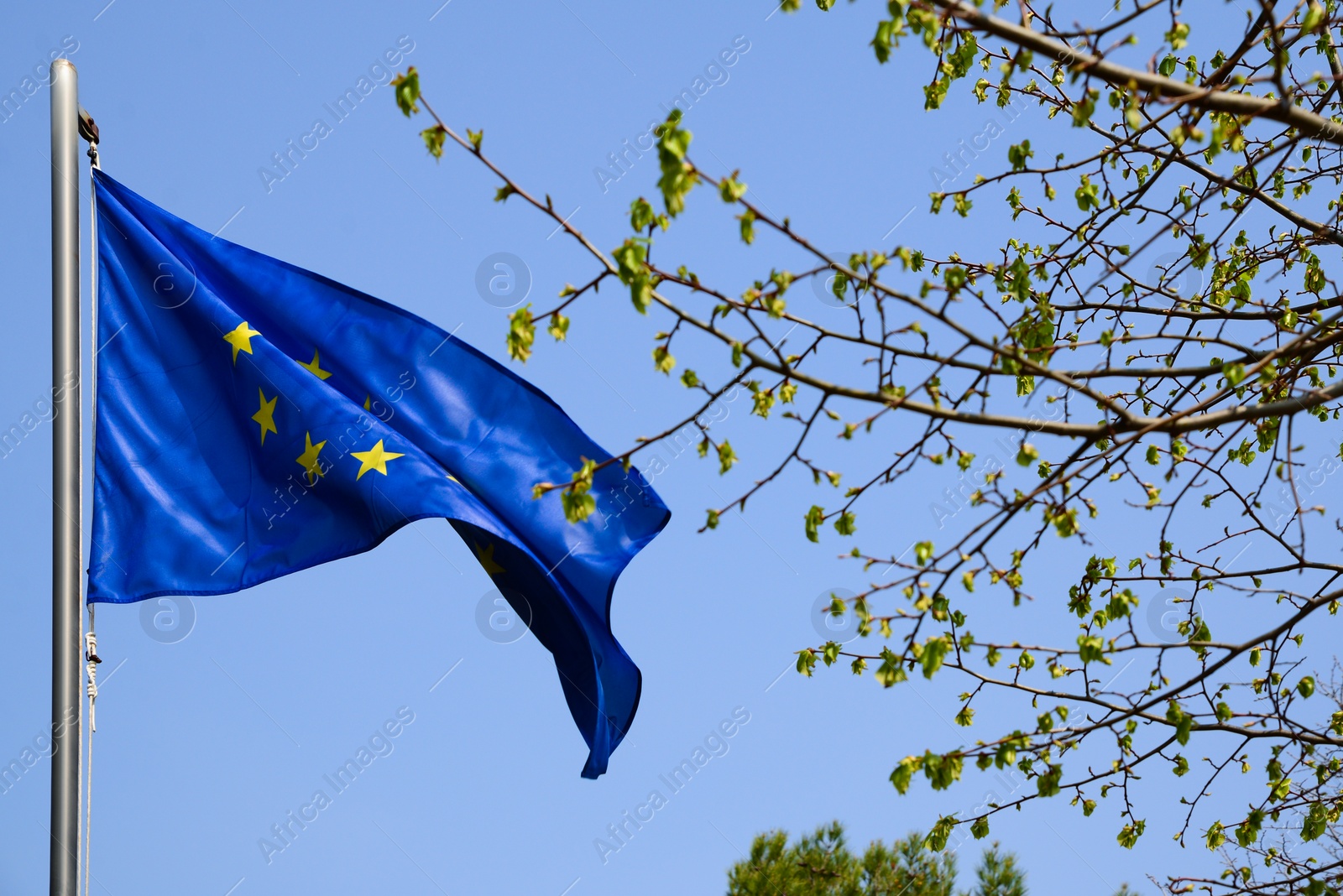 Photo of European Union flag fluttering against blue sky