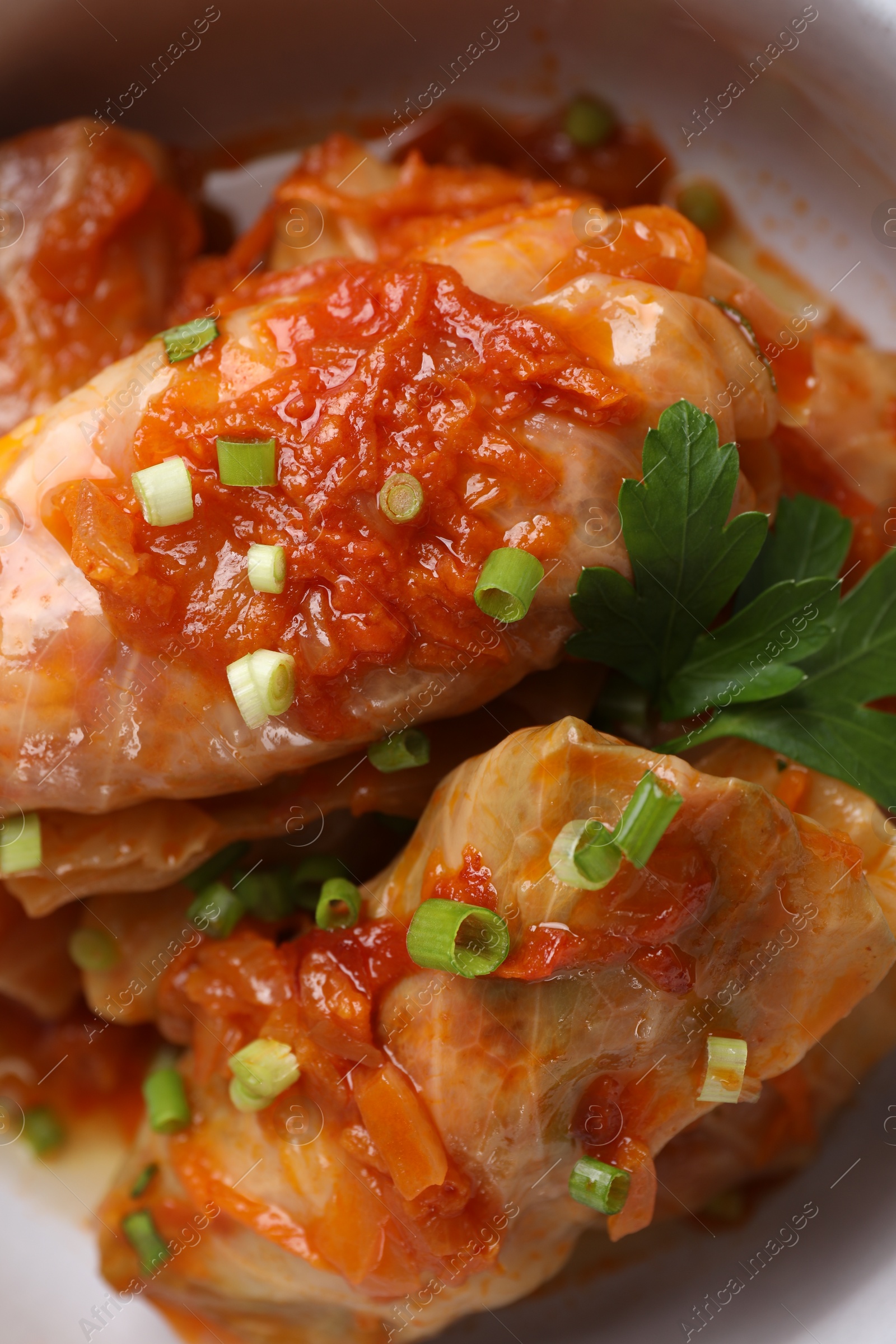 Photo of Delicious stuffed cabbage rolls cooked with homemade tomato sauce in bowl, closeup