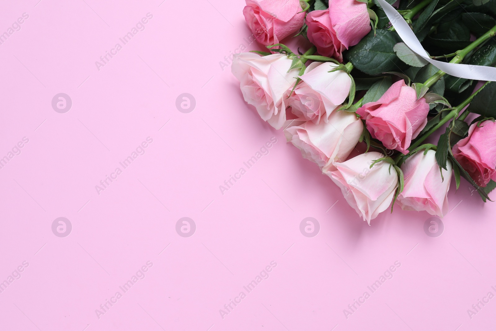 Photo of Beautiful roses on light pink background, top view. Space for text