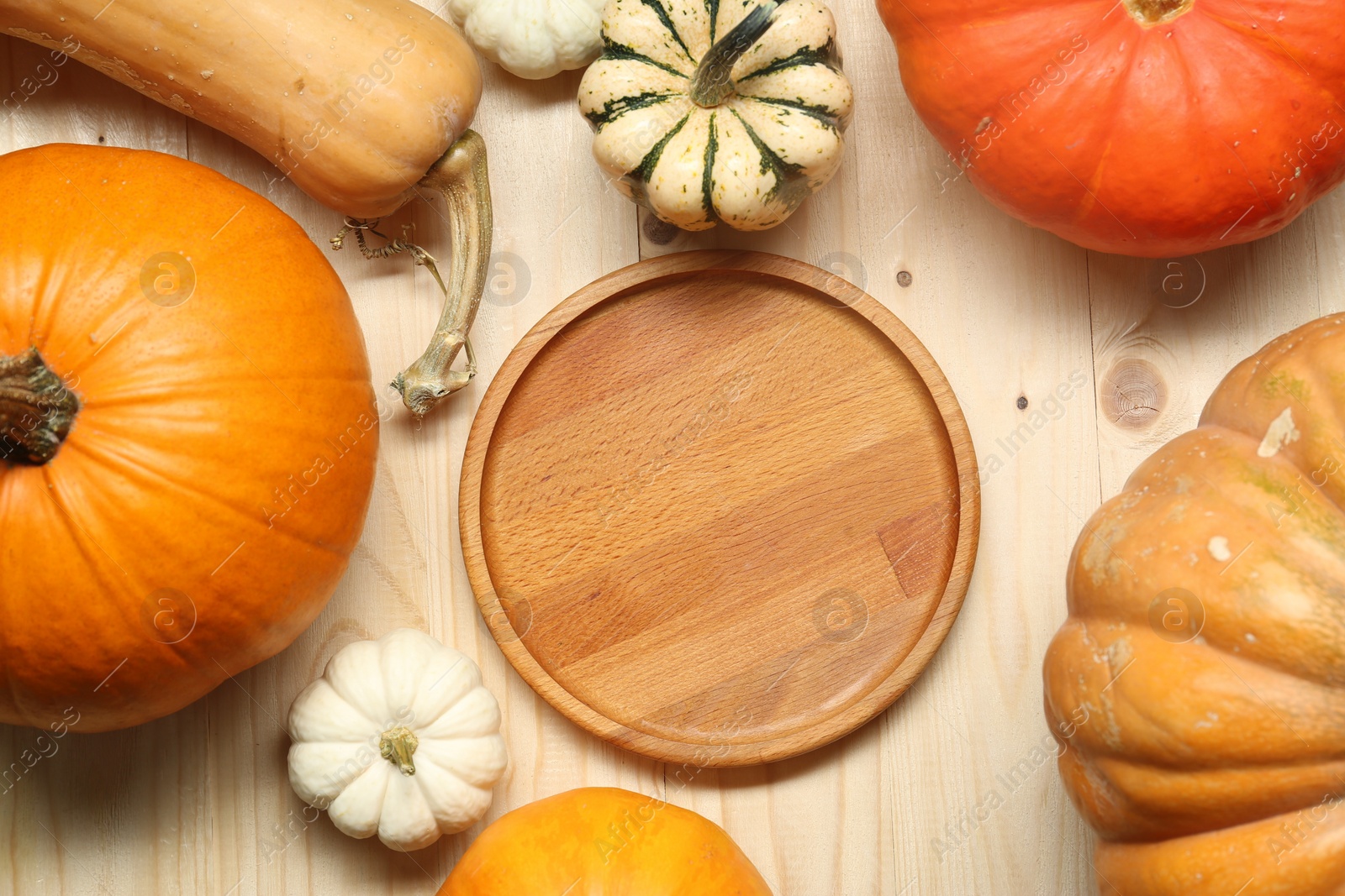 Photo of Thanksgiving day. Different pumpkins and round board on light wooden table, flat lay with space for text