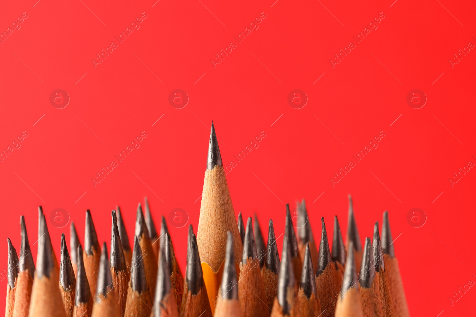 Photo of Sharp graphite pencils on red background, space for text