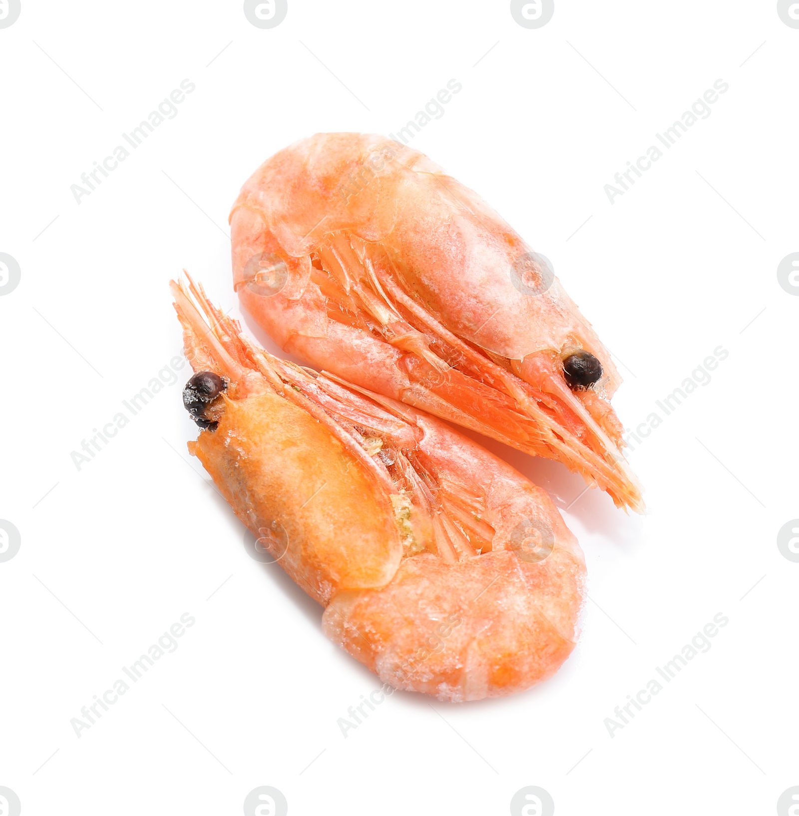 Photo of Raw shrimps covered with ice on white background, top view