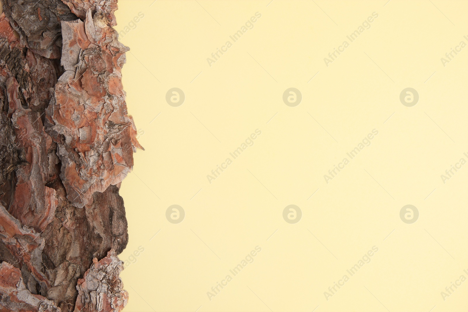 Photo of Tree bark pieces on beige background, top view. Space for text