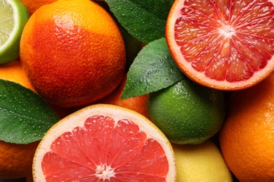 Different ripe citrus fruits as background, closeup